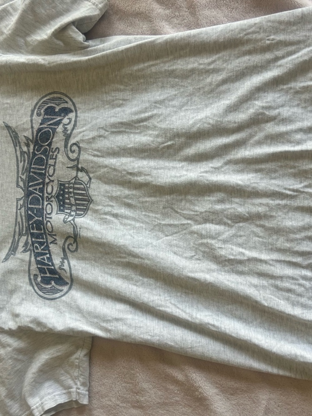 Harley-Davidson Men's Gray Graphic Motorcycle T-Shirt